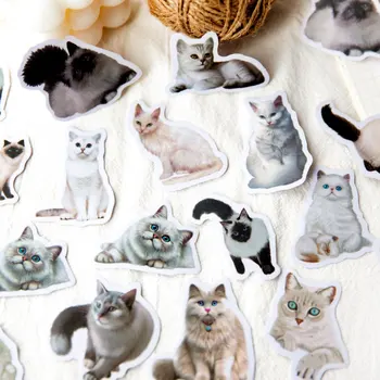 30 шт./упак. Наклейки для Листа Скрапбукинга Cute cat Vintage real DIY animal hand account material декоративная наклейка 6 типов