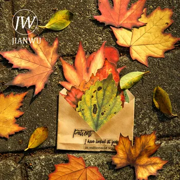 JIANWU 20 листов Осенние листья Серия с цветочными буквами, винтажный материал для декора, бумага, креативные поделки, журнал для мусора, коллаж, канцелярские принадлежности