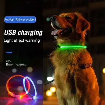 USB Перезаряжаемая светодиодная подсветка для домашних собак, Регулируемый Красочный Световой Ошейник, Мигающий Ночной Свет Для собак, Поводок для шеи, Аксессуары для кошек